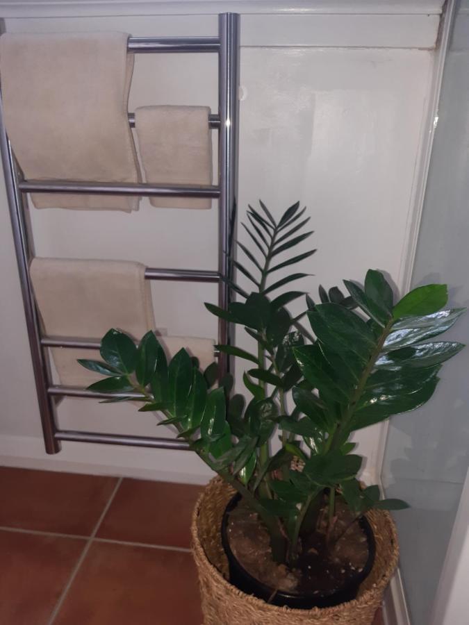 أوكلاند Harbour View Cottage المظهر الخارجي الصورة