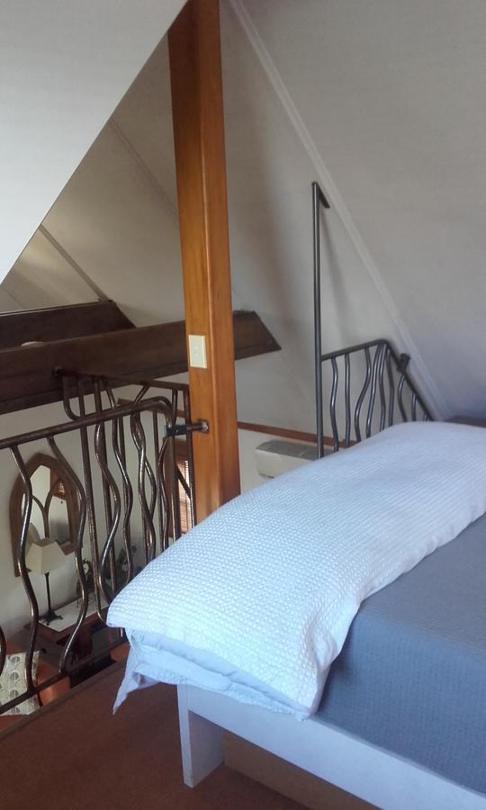 أوكلاند Harbour View Cottage المظهر الخارجي الصورة